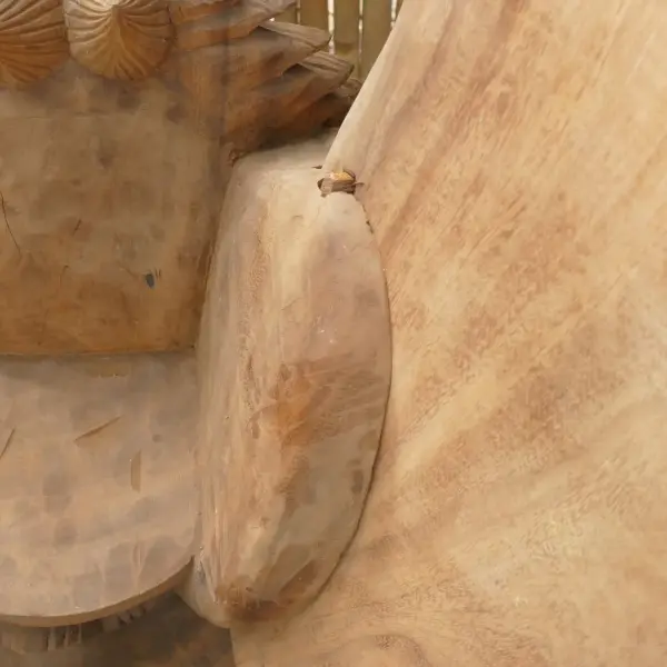 Product image 5 of the product “Singa ambara raja, From Suar wood, center part 50 x 55 x 100, with wings 103cm wide and 142 cm height ”